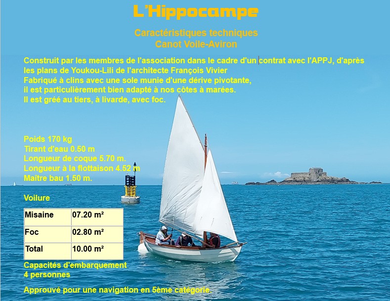 info Hippocampe